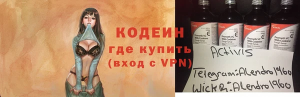 стаф Вяземский