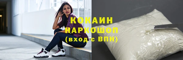 стаф Вяземский