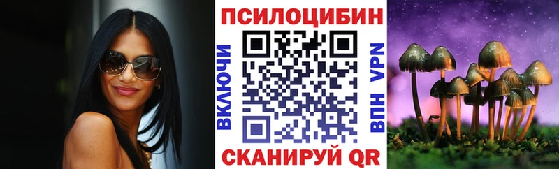 Псилоцибиновые грибы Psilocybe  МЕГА ONION  Нестеровская 